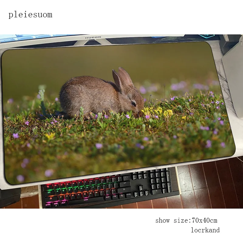 Rabbit cute mouse pad best mou - Gaming Keyboard Best recension och pris